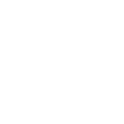 Nebula Logo  White with Word